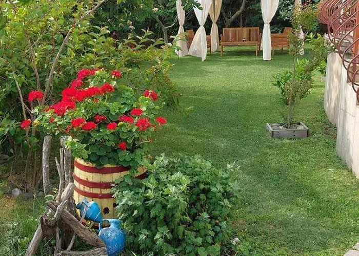 прохлада * Синеморец